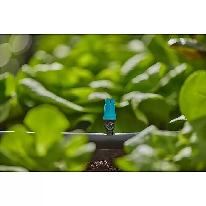 Gardena Micro-Drip Kleinflächendüse - 10 Stk., 1/2" x 13 mm - Blauer und schwarzer Bewässerungstropfer an Schlauch, bewässert grüne Pflanzen im Boden.