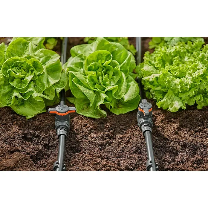 Gardena Micro-Drip Válvula de regulación 13 mm (1/2") - 13 mm, Plástico - Primer plano de tres lechugas que se cultivan con un sistema de riego por goteo.