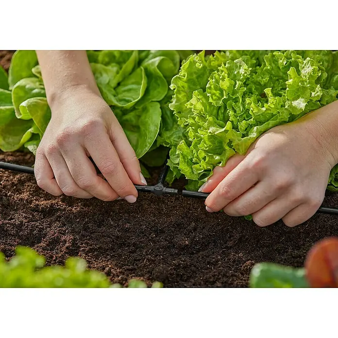 Gardena Micro-Drip Pieza T - 3/16" x 4,6 mm, 10 ud. - Una persona conecta un sistema de riego por goteo con un conector en T negro para regar la lechuga en un jardín.