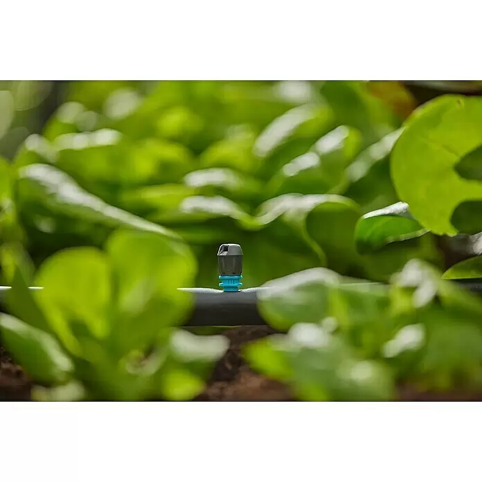 Gardena Micro-Drip Endstreifendüse - 5 Stk. - Schwarzer und blauer Tropfbewässerungsemitter an schwarzem Rohr, bewässert grüne Pflanzen im Boden.