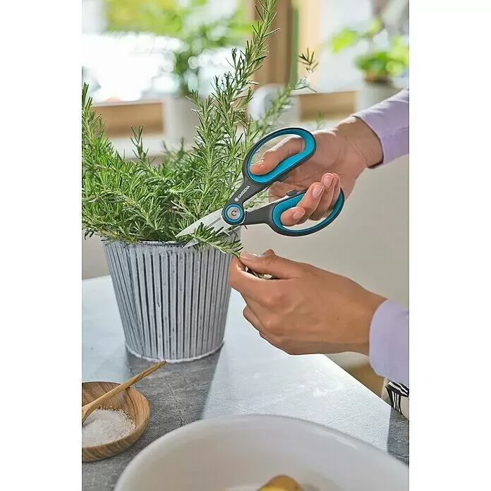 Gardena Schere HerbCut mit Holter - Geeignet für: Kräuter - Gardena Gartenschere mit schwarzen und blauen Griffen schneidet Rosmarin aus einem Topf.