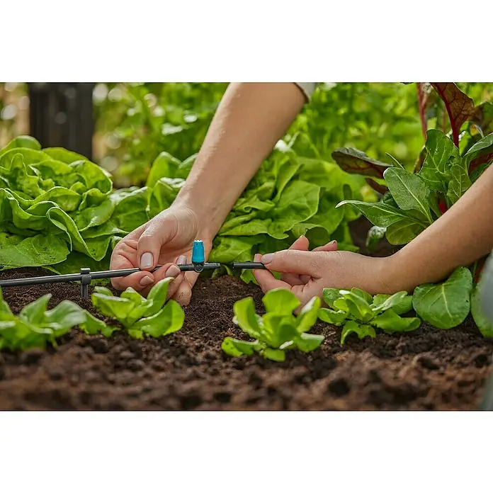 Gardena Micro-Drip Kleinflächendüse - 3/16" x 4,6 mm, 10 Stk. - Bild einer Person, die ein Bewässerungssystem an Gemüsepflanzen installiert, um eine optimale Bewässerung zu gewährleisten.