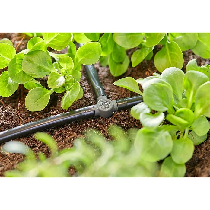 Gardena Micro-Drip Pieza T - 3/16" x 4,6 mm, 10 ud. - Primer plano de un sistema de riego con conector en T entre plántulas verdes, ideal para riego de jardines.