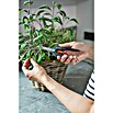 Gardena Schere FreshCut (Geeignet für: Kräuter) | BAUHAUS
