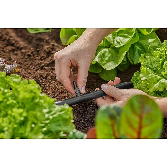 Gardena Micro-Drip Enchufe de conexión - 3/16" x 4,6 mm, 10 ud. - Primer plano de una persona instalando un sistema de riego por goteo en un jardín, con plantas de lechuga al fondo.
