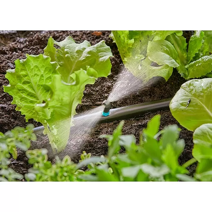 Gardena Micro-Drip Streifendüse - 5 Stk., Wurfweite: 5,5 m - Ein Mikrosprüher an einem schwarzen Bewässerungsschlauch bewässert grüne Salatpflanzen in dunkler Erde.