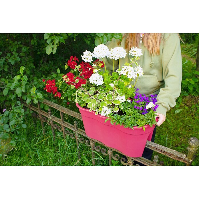 KHW Geländertopf Flowerclip XL (2 Stk., 57,5 cm, Beere)