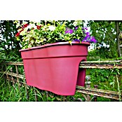 KHW Geländertopf Flowerclip XL (2 Stk., 57,5 cm, Beere)