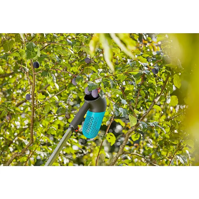 Gardena Combisystem Obstsammler Set mit Teleskopstiel - Fassungsvermögen: 0,8 l - Nahaufnahme eines blauen Obstsammlers, der an einem Baum mit reifen Pflaumen befestigt ist. Das Werkzeug erleichtert die Ernte.