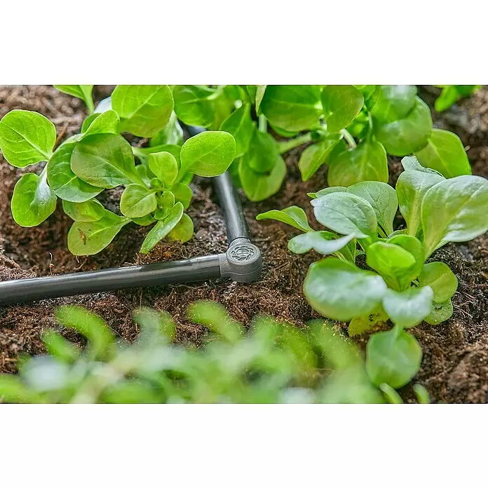 Gardena Micro-Drip L-Stück - Durchmesser Anschluss: 4,6 mm, 10 Stk., Kunststoff - Schwarzes Tropfbewässerungsrohr mit Verbinder in der Erde zwischen jungen grünen Pflanzen.