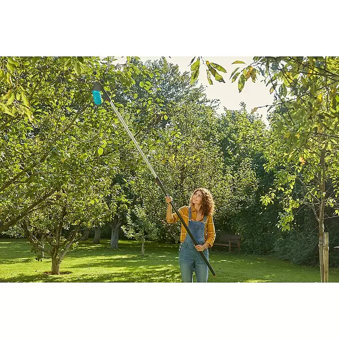 Gardena Combisystem Obstsammler Set mit Teleskopstiel - Fassungsvermögen: 0,8 l - Frau pflückt Obst von einem Baum mit einem langstieligen Obstpflücker mit blauem Korb.