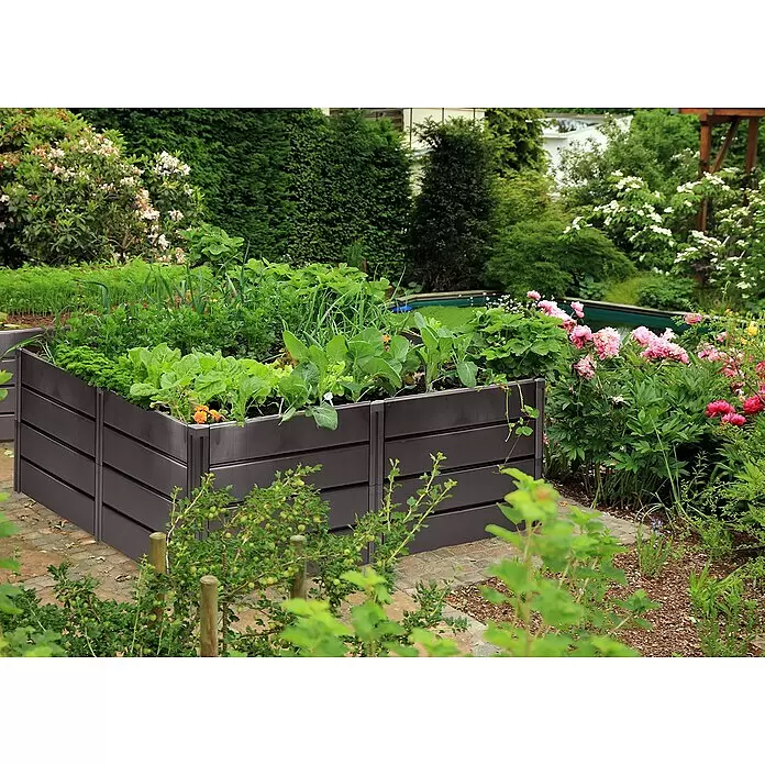 KHW Hochbeet Demeter XL - 158 x 82 x 61 cm, Kunststoff, Anthrazit - Dunkelbraunes Hochbeet mit verschiedenen Gemüse- und Kräuterpflanzen in einem üppigen Garten.
