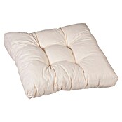beo Sitzkissen MM23 (L x B x H: 60 x 60 x 13 cm, Beige, Polyester) | BAUHAUS