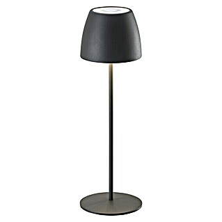 Lavida Punjiva stolna svjetiljka (3,3 W, Boja svjetla: RGBW)