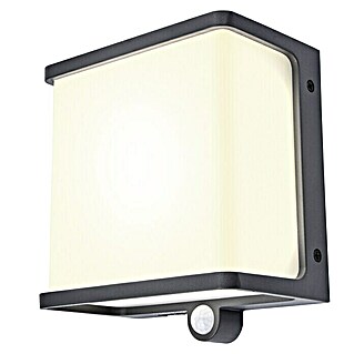 Lutec LED-Solar-Außenwandleuchte DOBLO (Solarzelle, Aluminium, Neutralweiß, Anthrazit, L x B x H: 15 x 8,9 x 17 cm)