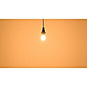 Osram Retrofit LED žarulja  (E27, Može se prigušiti, Hladna bijela, 1.055 lm, 9 W) | BAUHAUS