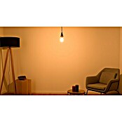 Osram Retrofit LED žarulja  (E27, Može se prigušiti, Hladna bijela, 1.055 lm, 9 W) | BAUHAUS