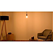 Osram LED-Lampe Glühlampenform E27 klar (E27, Warmweiß, 806 lm, 6,5 W) | BAUHAUS