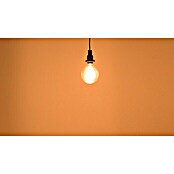 Osram Vintage 1906 LED-Leuchtmittel (7 W, E27, Warmweiß, Globe, Energieeffizienzklasse: A+)