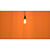 Osram LED-Lampe Vintage Edition 1906 Globe-Form E27 (E27, Dimmbar, Warmweiß, 500 lm, 11 W) | BAUHAUS