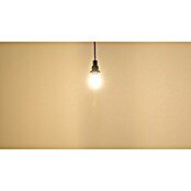 Ledvance LED-Lampe Glühlampenform E27 klar (E27, Nicht Dimmbar, Warmweiß, 525 lm, 2,5 W) | BAUHAUS