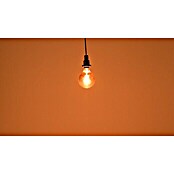 Osram LED-Lampe Vintage Edition 1906 Globe-Form E27 (Durchmesser: 12,4 cm, E27, Dimmbar, Warmweiß, 360 lm, 7,8 W) | BAUHAUS