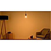 Osram Set LED sijalk v obliki sveče E14 z daljinskim upravljanjem barve - dvojno pakiranje  (E14, Možnost zatemnitve, RGBW, 470 lm, 4,9 W) | LED luči | Svetlila | Elektro in svetila | Izdelki | BAUHAUS