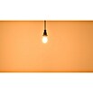 Osram LED-Lampe Osram LED-Lampe Glühlampenform E27 matt mit Tageslichtsensor (E27, Nicht Dimmbar, Warmweiß, 806 lm, 7,3 W) | BAUHAUS