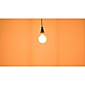 Osram LED-Lampe Vintage Edition 1906 Globe-Form E27 (Durchmesser: 12,4 cm, E27, Dimmbar, Warmweiß, 806 lm, 8,8 W) | BAUHAUS