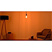 Osram LED-Lampe Vintage Edition 1906 Globe-Form E27 (E27, Dimmbar, Warmweiß, 500 lm, 11 W) | BAUHAUS