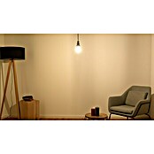 Ledvance LED-Lampe Glühlampenform E27 klar (E27, Nicht Dimmbar, Warmweiß, 525 lm, 2,5 W) | BAUHAUS