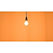 Osram LED-Lampe Vintage Edition 1906 Globe-Form E27 (Durchmesser: 9,5 cm, E27, Dimmbar, Warmweiß, 806 lm, 8,8 W) | BAUHAUS