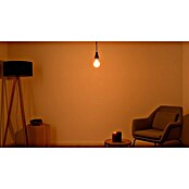 Osram LED-Lampe Vintage Edition 1906 Globe-Form E27 (Durchmesser: 9,5 cm, E27, Dimmbar, Warmweiß, 420 lm, 4,8 W) | BAUHAUS