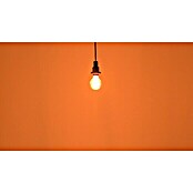 Osram LED-Lampe Vintage Edition 1906 Globe-Form 80 E27 (E27, Dimmbar, Warmweiß, 500 lm, 11 W) | BAUHAUS