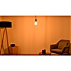 Osram LED-Lampe Vintage Edition 1906 Birnenform E27 (E27, Dimmbar, Warmweiß, 806 lm, 8,8 W, Gold) | BAUHAUS