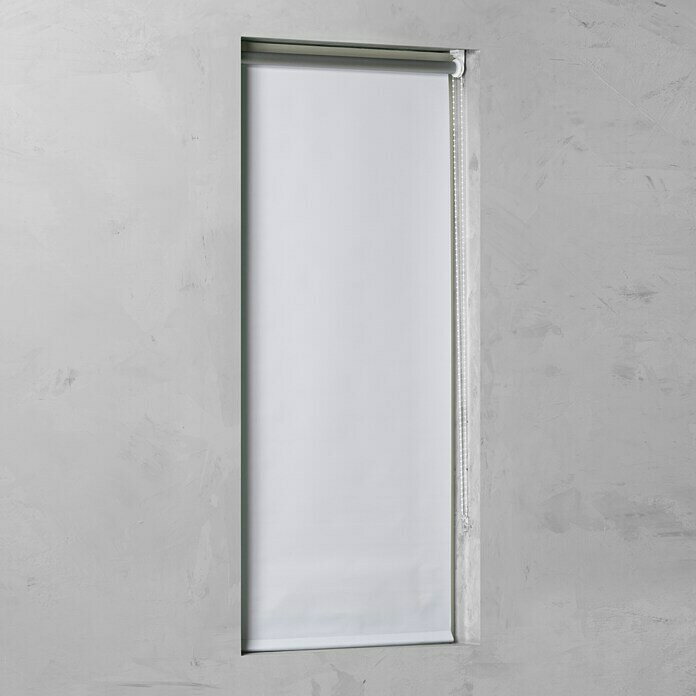 Rolo Basic (Š x V: 80 x 175 cm, Bijelo, Zamračenje)