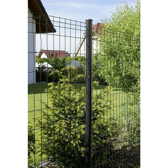 Hadra Maschendrahtzaun - 25 x 1,2 m, Anthrazit - Schwarzer Zaunpfosten mit einem Maschendrahtzaun im Garten. Eine robuste Lösung zur Abgrenzung und Sicherheit des Grundstücks.