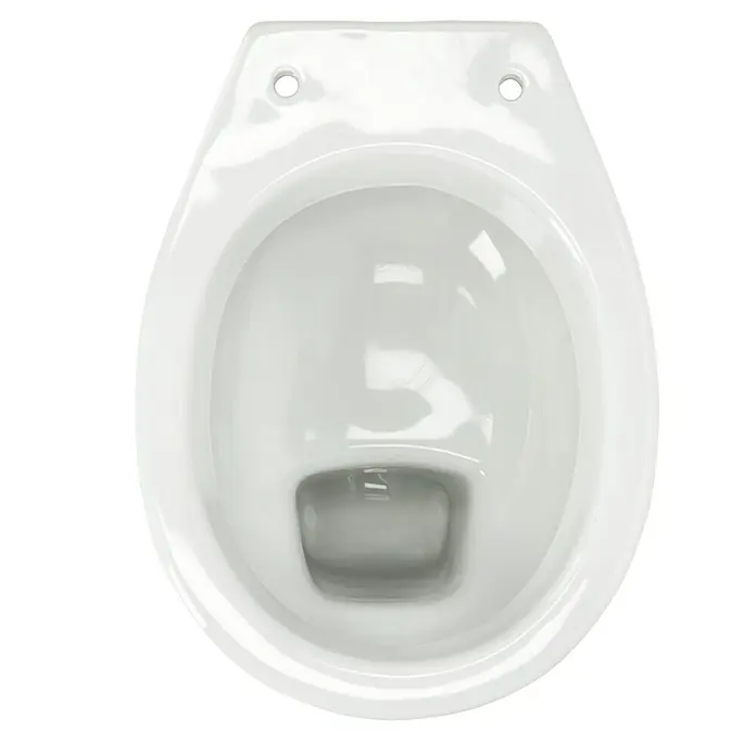 Camargue Stand-WC-Set Plus 100 - Mit Spülrand, WC Abgang: Waagerecht, Weiß - Nahaufnahme einer weißen Toilette mit Fokus auf das Becken. Die glatte Oberfläche und die klaren Linien betonen das moderne Design.