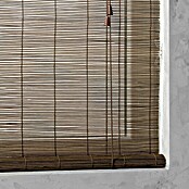 Bambusrollo Basic (B x H: 80 x 160 cm, Braun)