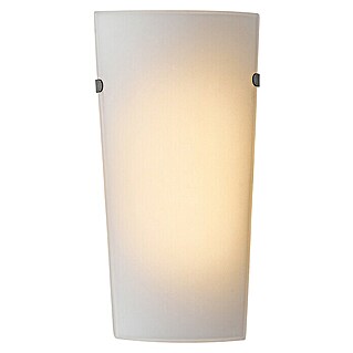 Aplique de pared LED Teja (9 W, L x An x Al: 25 x 12 x 7 cm, Blanco, Blanco cálido)
