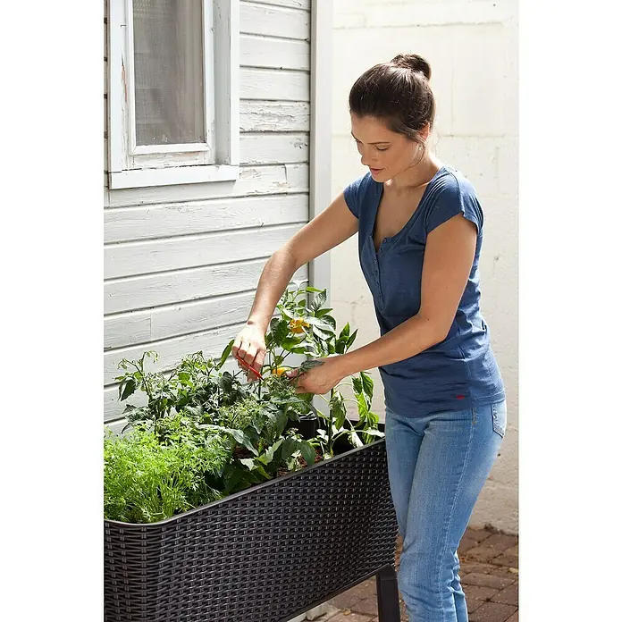 Keter Hochbeet Easy Growing - 114 x 49,3 x 75,7 cm, Kunststoff, Dunkelgrau - Eine Frau schneidet mit einer Gartenschere Pflanzen in einem erhöhten, braunen Pflanzkasten, der auf einer Terrasse steht.