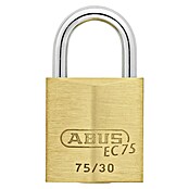 Abus Titalium hangslot Lock-Tag 75/30 (b x h: 30 x 54 mm, Beugeldikte: 5 mm, Veiligheidsniveau: 5) | BAUHAUS