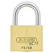 Abus Titalium hangslot Lock-Tag 75/50 (b x h: 50 x 77 mm, Beugeldikte: 8 mm, Veiligheidsniveau: 7) | BAUHAUS