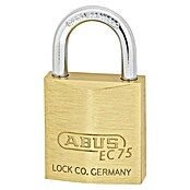 Abus Titalium hangslot Lock-Tag 75/30 (b x h: 30 x 54 mm, Beugeldikte: 5 mm, Veiligheidsniveau: 5) | BAUHAUS