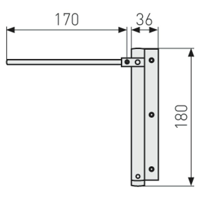Abus Türschließer TS40 AL (Silber, Geeignet für: Zimmertüren) | BAUHAUS