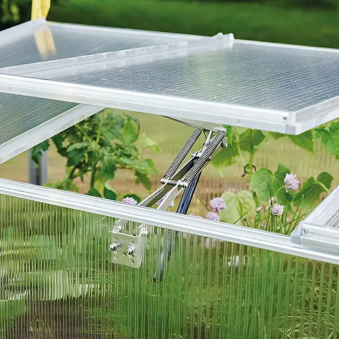 Juwel Frühbeet Premium-BIOSTAR 1500 - 150 x 80 x 50 cm, Polycarbonat, Transparent/Gelb - Nahaufnahme eines Gewächshauses mit geöffnetem Dachfenster, das einen Blick auf das Innere mit Pflanzen und Blumen ermöglicht.