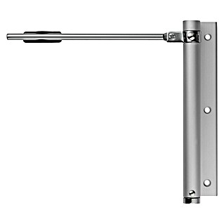 Abus Türschließer TS40 AL (Silber, Geeignet für: Zimmertüren)