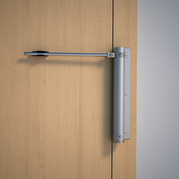 Abus Türschließer TS40 AL (Silber, Geeignet für: Zimmertüren) | BAUHAUS