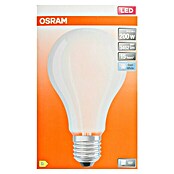 Osram Bombilla LED (E27, No regulable, Blanco frío, 3.452 lm, 24 W) | BAUHAUS