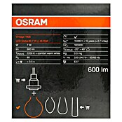 Osram LED-Lampe Vintage Edition 1906 Globe-Form E27 (Durchmesser: 8 cm, E27, Dimmbar, Warmweiß, 600 lm, 7 W) | BAUHAUS